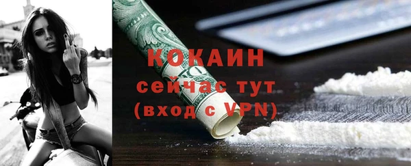 прущий лед Вяземский