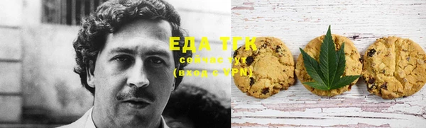 прущий лед Вяземский