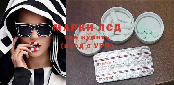 прущий лед Вяземский