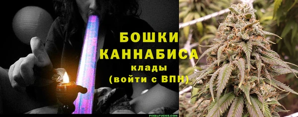 прущий лед Вяземский