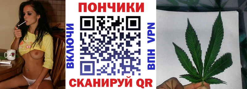 Шишки марихуана конопля  Дербент 
